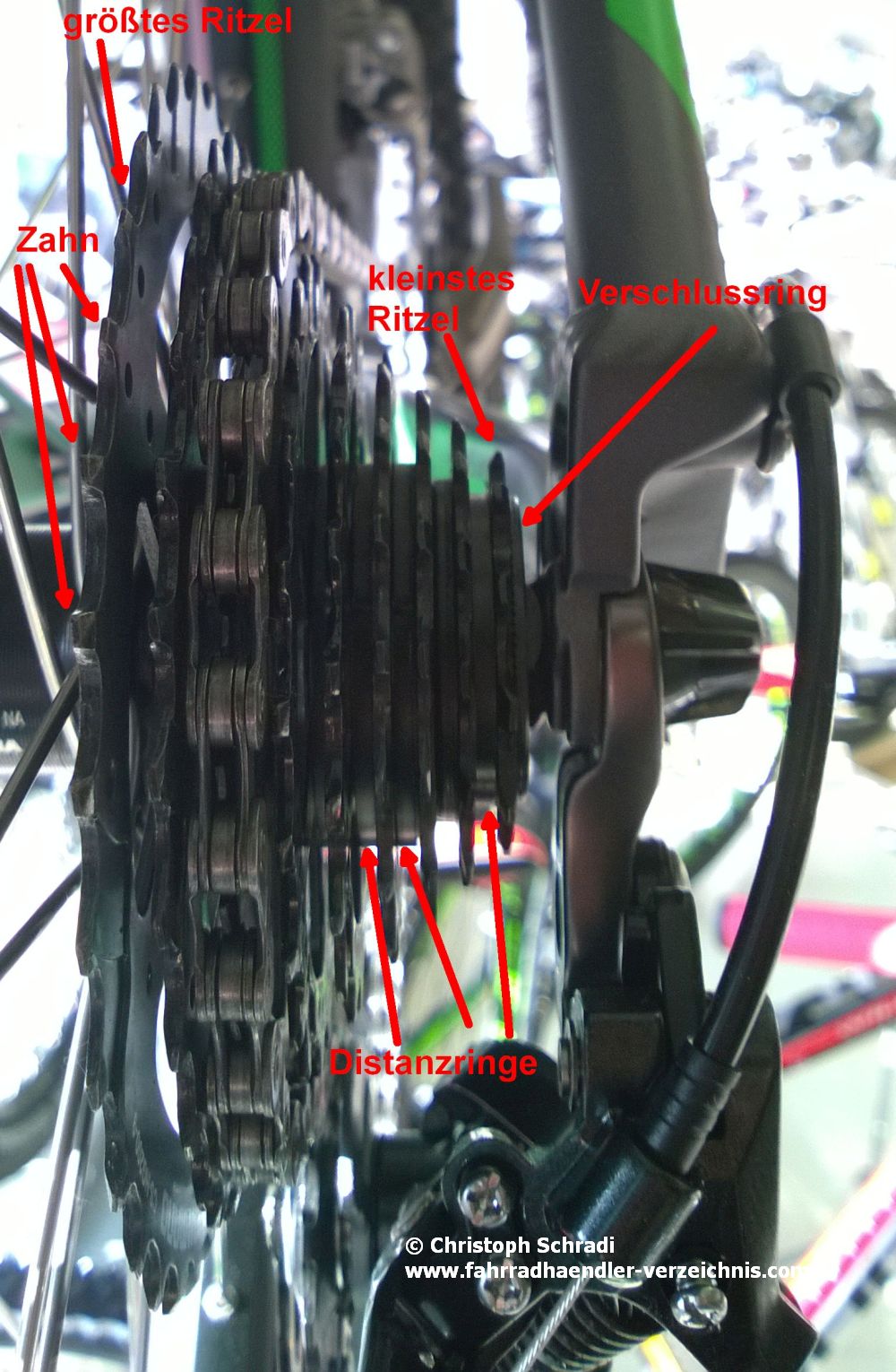 Einsteigerritzelpaket von Shimano an einem Fahrrad von hinten gesehen
